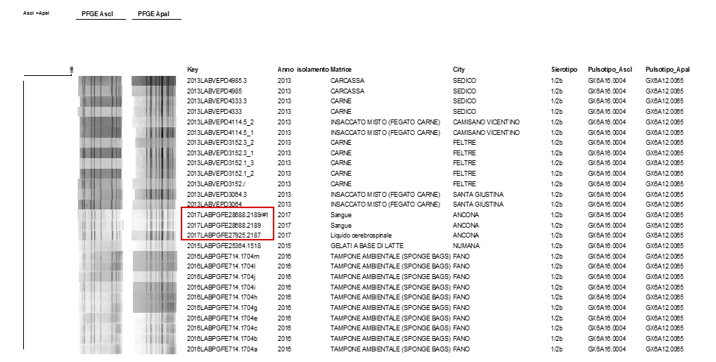 Figura 2. Consultazione del database nazionale LNR: profili PFGE combinati ApaI /AscI GX6A12.0065/GX6A16.0004 di ceppi, matrice di isolamento e luogo di prelievo del campione. I ceppi clinici sono stati evidenziati in rosso (il ceppo 2189 è presente in doppio perché per questo ceppo la PFGE e' stata ripetuta)